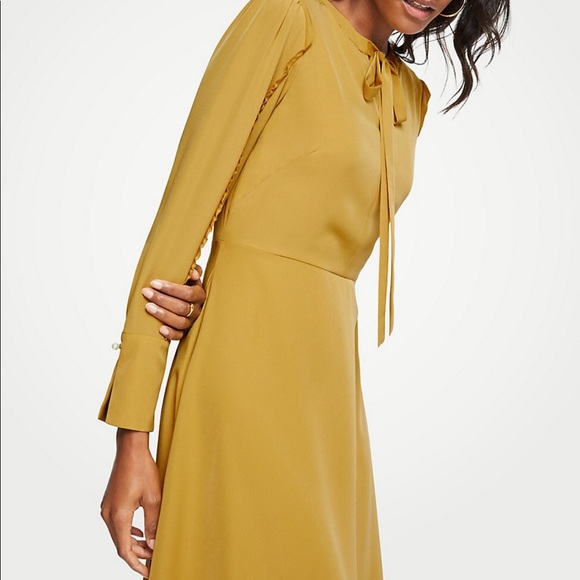 Ann Taylor Ruffle Sleeve Dress - Picture 3 of 5